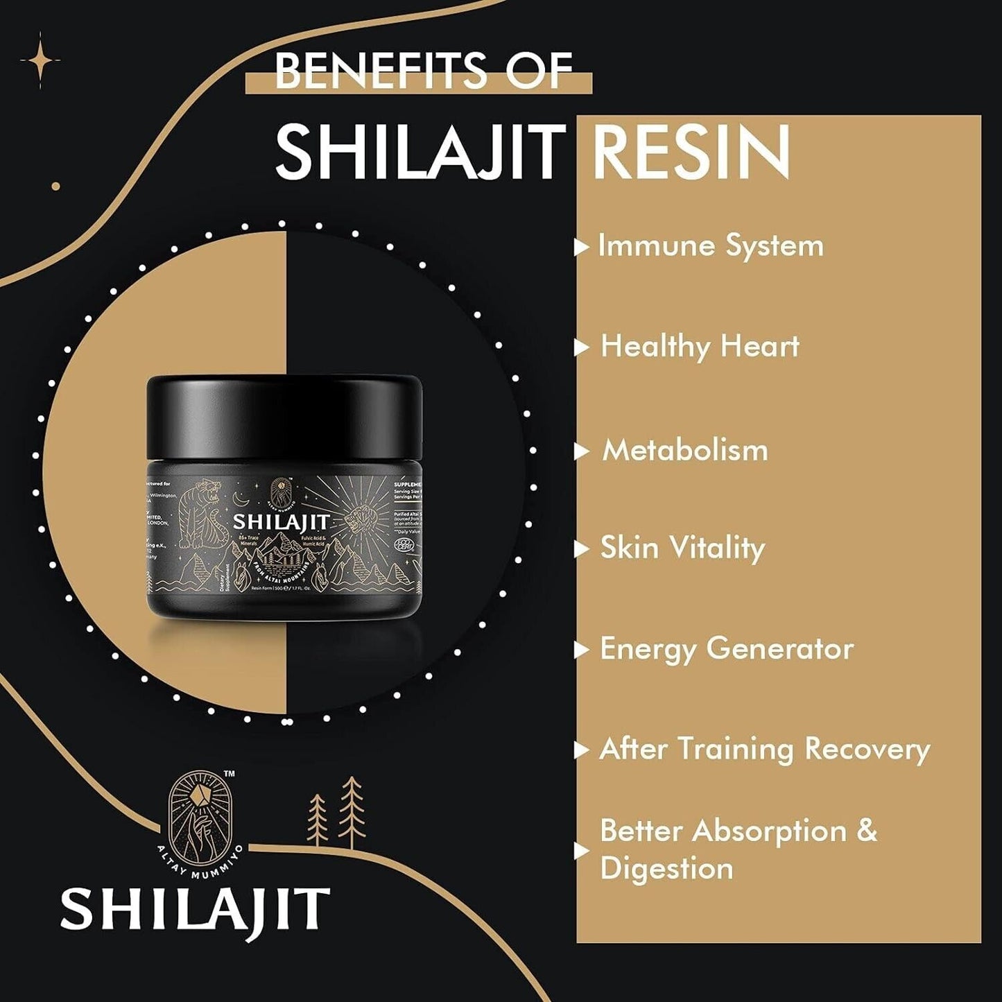 Altay Mummiyo Pure SHILAJIT Resin Healthy Aging Immune Support 50g - 100 Serves