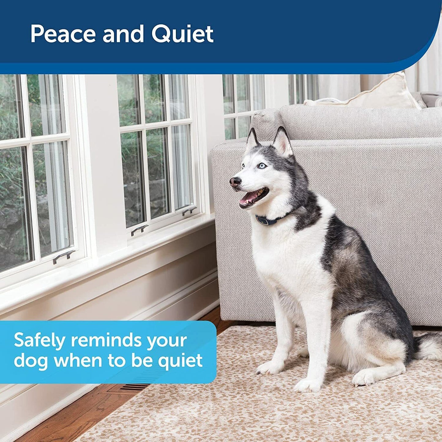 PetSafe Rechargeable Static Bark Control Dog Collar - Stop Barking PBC17-16000