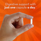 Align Probiotic Supplement 1-Billion CFU Daily Digestive Health Support 42 Caps