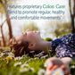 GARDEN OF LIFE RAW PROBIOTICS Once Daily Colon Care 50-Billion CFU - 30 Capsules