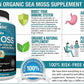 NUTRIVEIN ORGANIC IRISH SEA MOSS 1600mg 120 Caps DOUBLE STRENGTH - FREE EXPRESS!