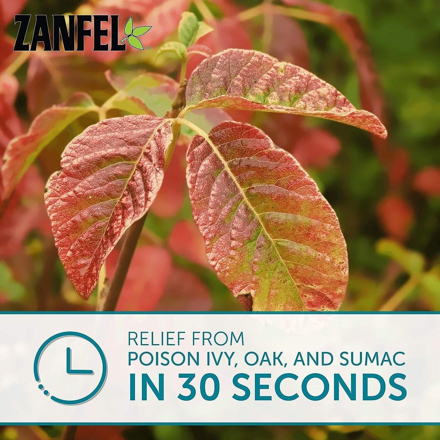 ZANFEL Poison Ivy Oak Sumac Urushiol Skin Wash - Itch Pain Rash Relief - 30mL