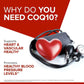 QUNOL ULTRA CoQ10 100mg Supports Energy Production & Heart Health - 120 Softgels