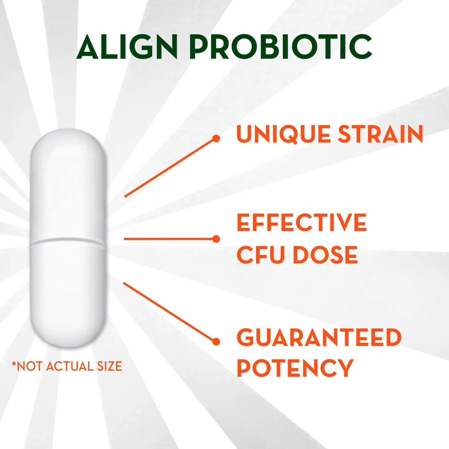 Align Probiotic Supplement - ULTIMATE GUT SUPPORT - 1-Billion CFU - 49 Capsules