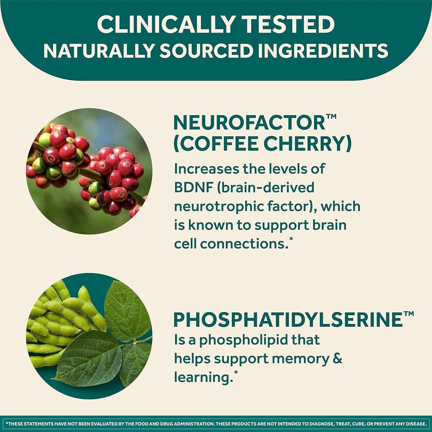 NEURIVA Brain Health Original - Cognitive Focus Memory Support - 30 Capsules