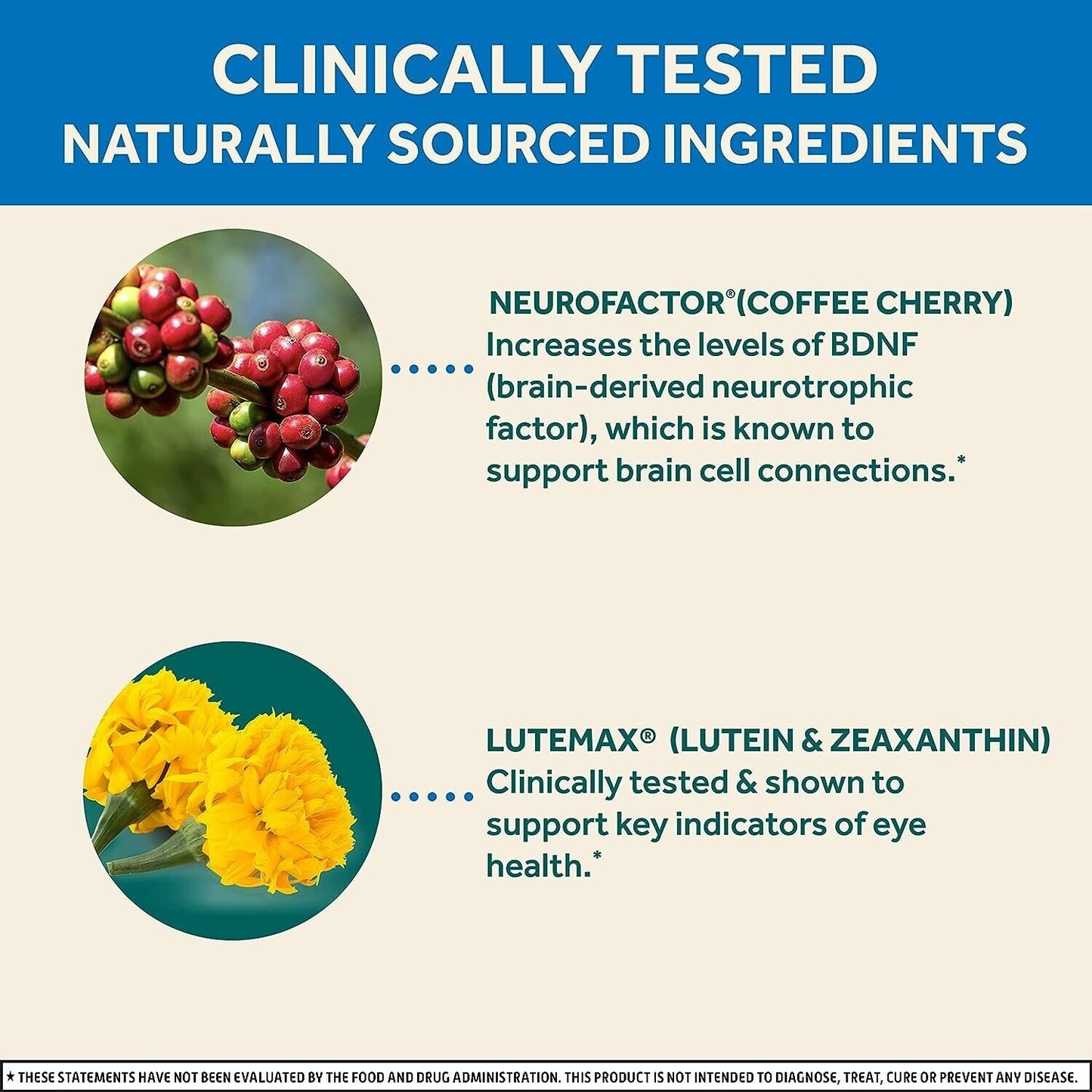 NEURIVA Brain Performance for Brain & Eye Health Memory Eyesight Support 30 Caps