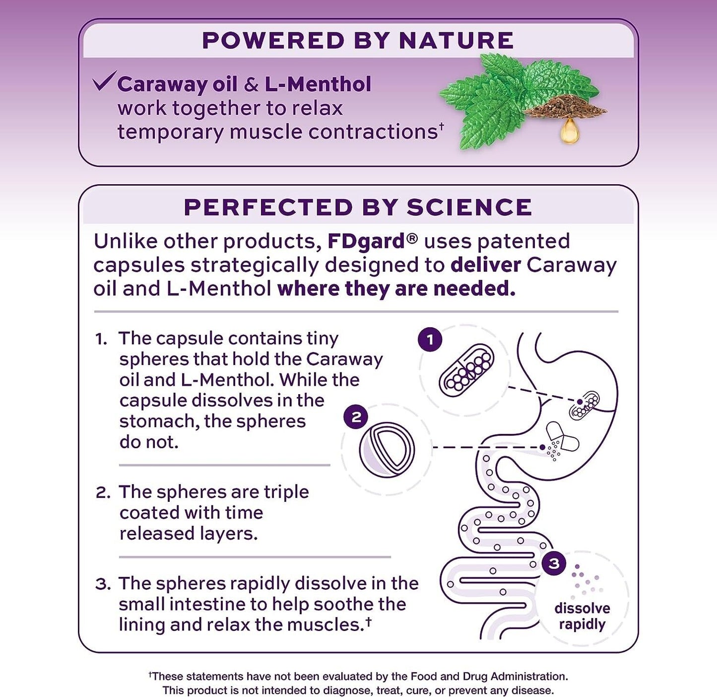 FDgard Pre-Meal Gut Health Supplement Indigestion & Bloating Relief 36 Capsules