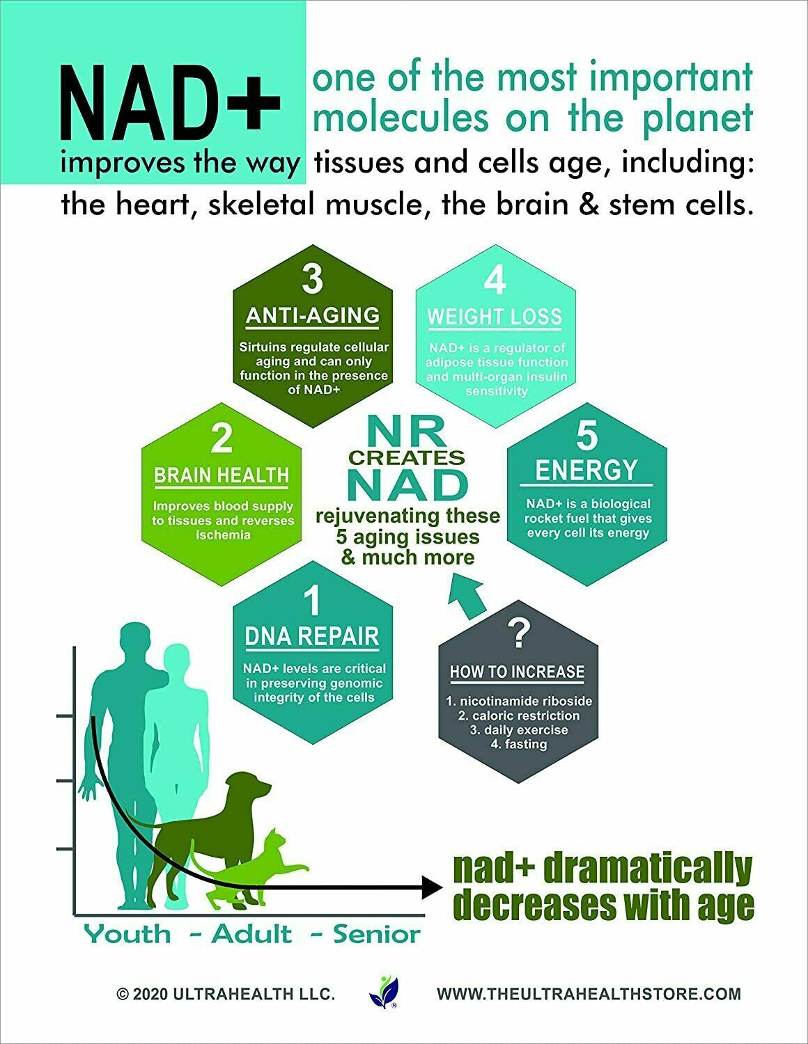Ultra Health NICOTINAMIDE RIBOSIDE 300mg 60 Caps DOUBLE STRENGTH NAD+ Anti-Aging