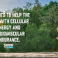 Onnit Shroom Tech Sport 28 Caps CORDYCEPS Joe Rogan JRE Alpha Brain Ashwagandha!