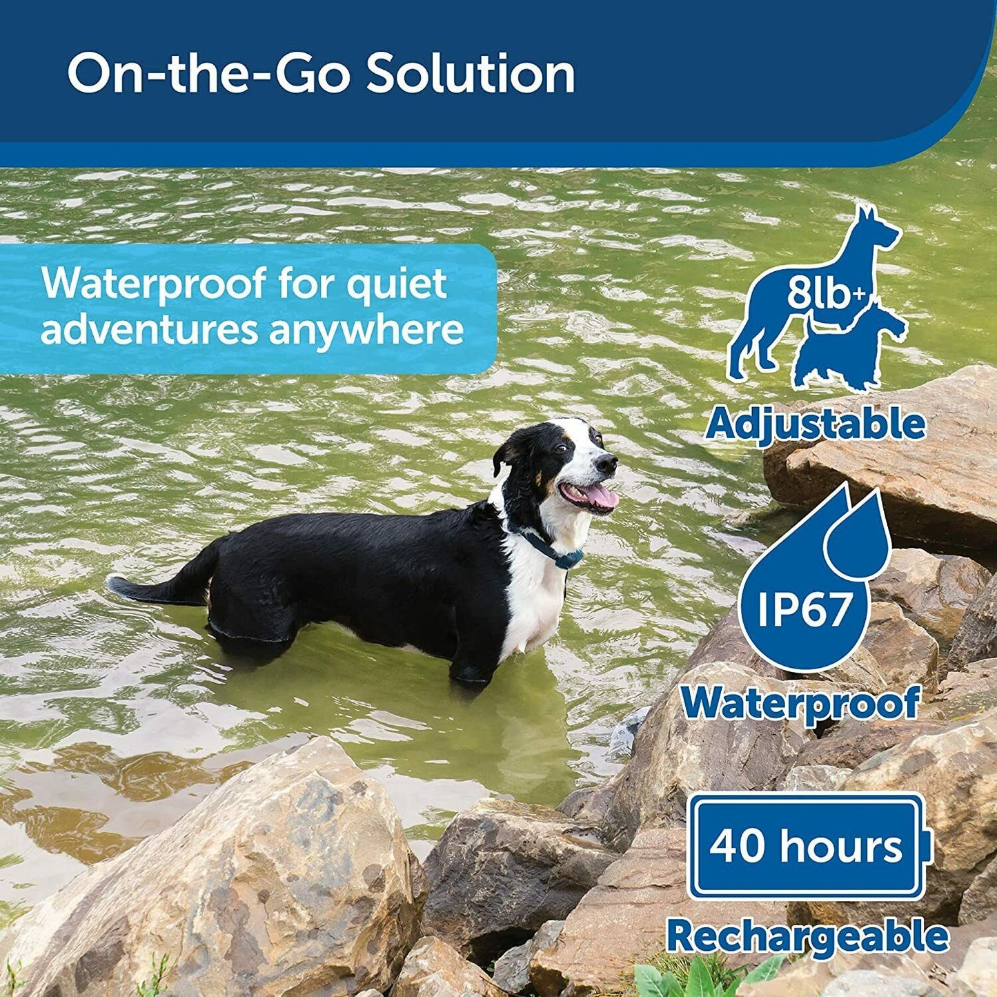 PetSafe Rechargeable Static Bark Control Dog Collar - Stop Barking PBC17-16000