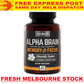 ONNIT Alpha BRAIN 90 Caps Joe Rogan JRE Nootropic Alpha GPC Huperzine Bacopa NEW