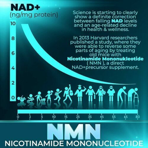 NMN Nicotinamide Mononucleotide 250mg 60 Caps POWERFUL NAD+ BOOSTER ANTI-AGING!