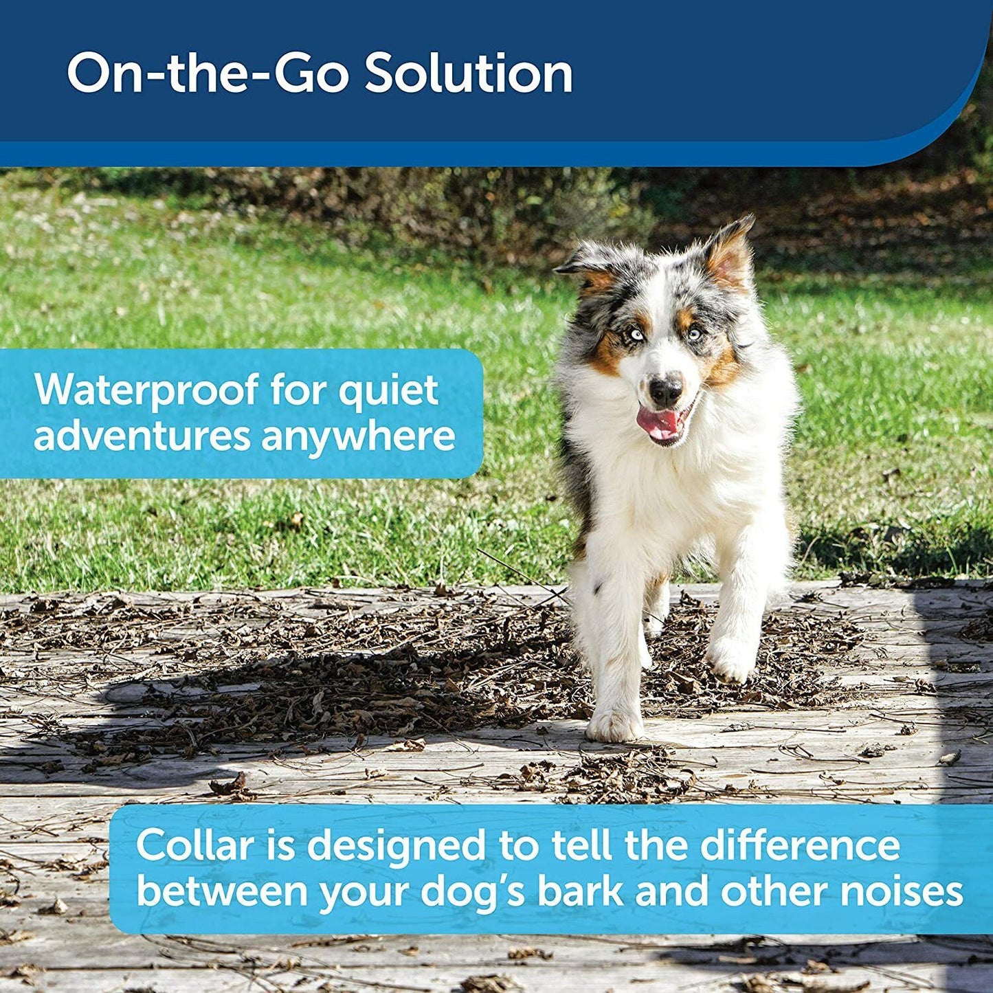 PetSafe Static Bark Control Collar - Stop Barking PBC19-10765 FREE EXPRESS POST!