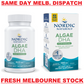 NORDIC NATURALS Algae DHA 500mg - Plant Omega-3 Vegan - 60 Soft Gels Unflavoured