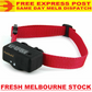 PetSafe Static Bark Control Collar - Stop Barking PBC19-10765 FREE EXPRESS POST!