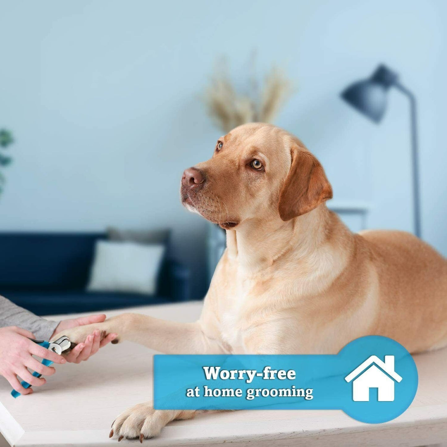 BOSHEL Pet Dog Nail Clippers and Trimmer with Safety Guard BRAND NEW MELB STOCK